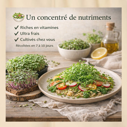 Kit micro-pousses – Faites pousser vos super-aliments à la maison