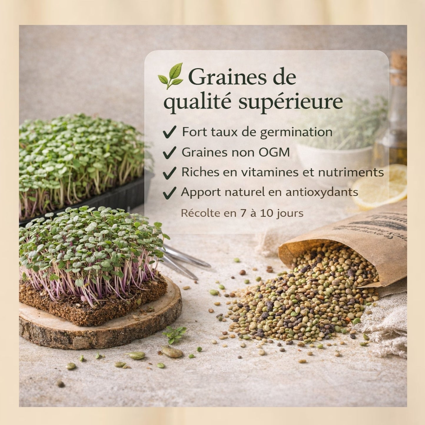 Kit micro-pousses – Faites pousser vos super-aliments à la maison