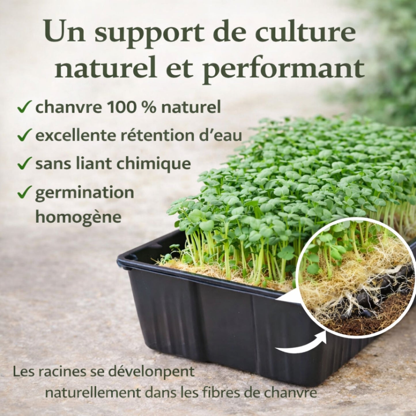 Kit micro-pousses – Faites pousser vos super-aliments à la maison