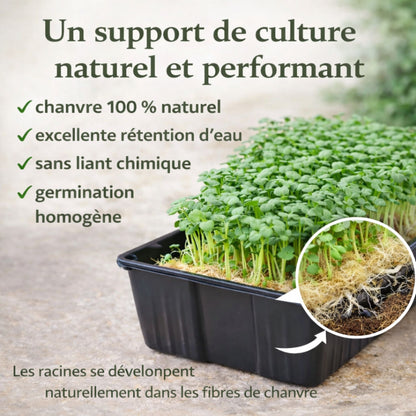 Kit micro-pousses – Faites pousser vos super-aliments à la maison