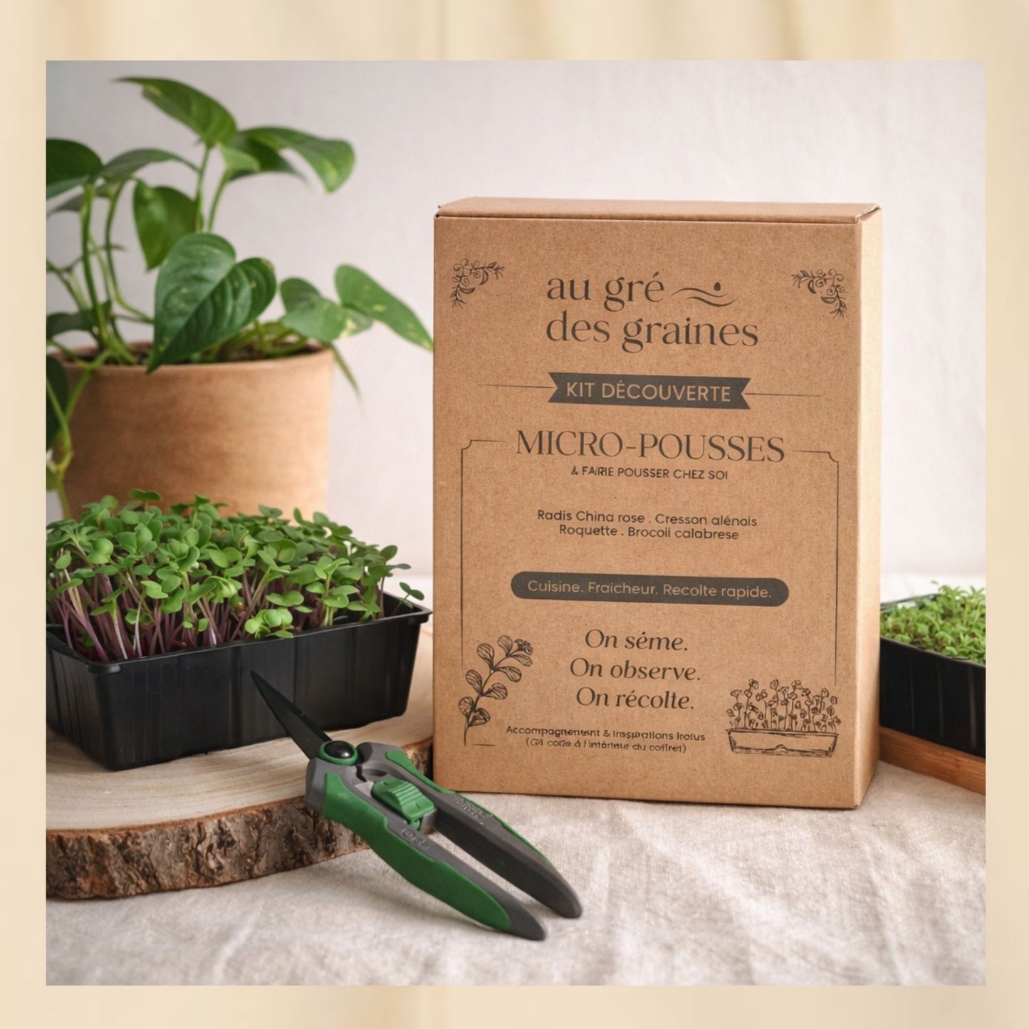 Kit micro-pousses – Faites pousser vos super-aliments à la maison