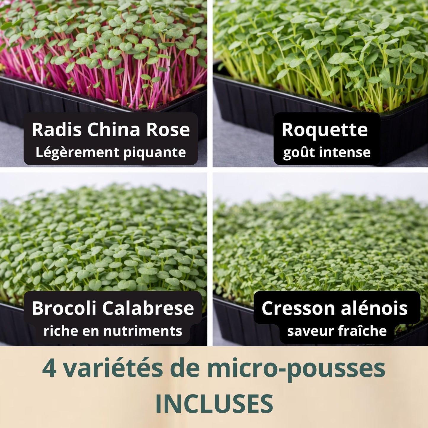 Kit micro-pousses – Faites pousser vos super-aliments à la maison