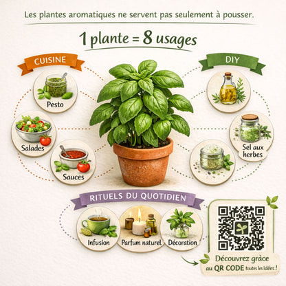 Kit Plantes Aromatiques – Faites pousser vos aromates à la maison