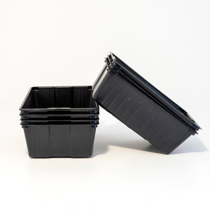 Lot de 20 barquettes pour micropousses