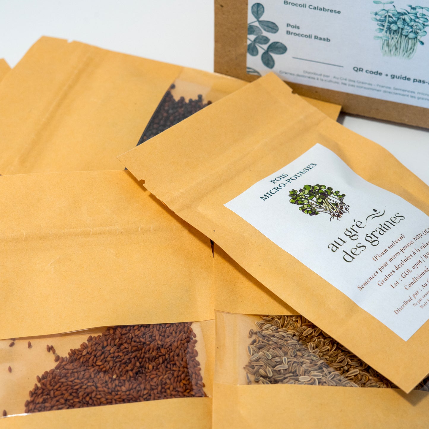 Pack 8 graines micro-pousses – Cultivez toute l’année