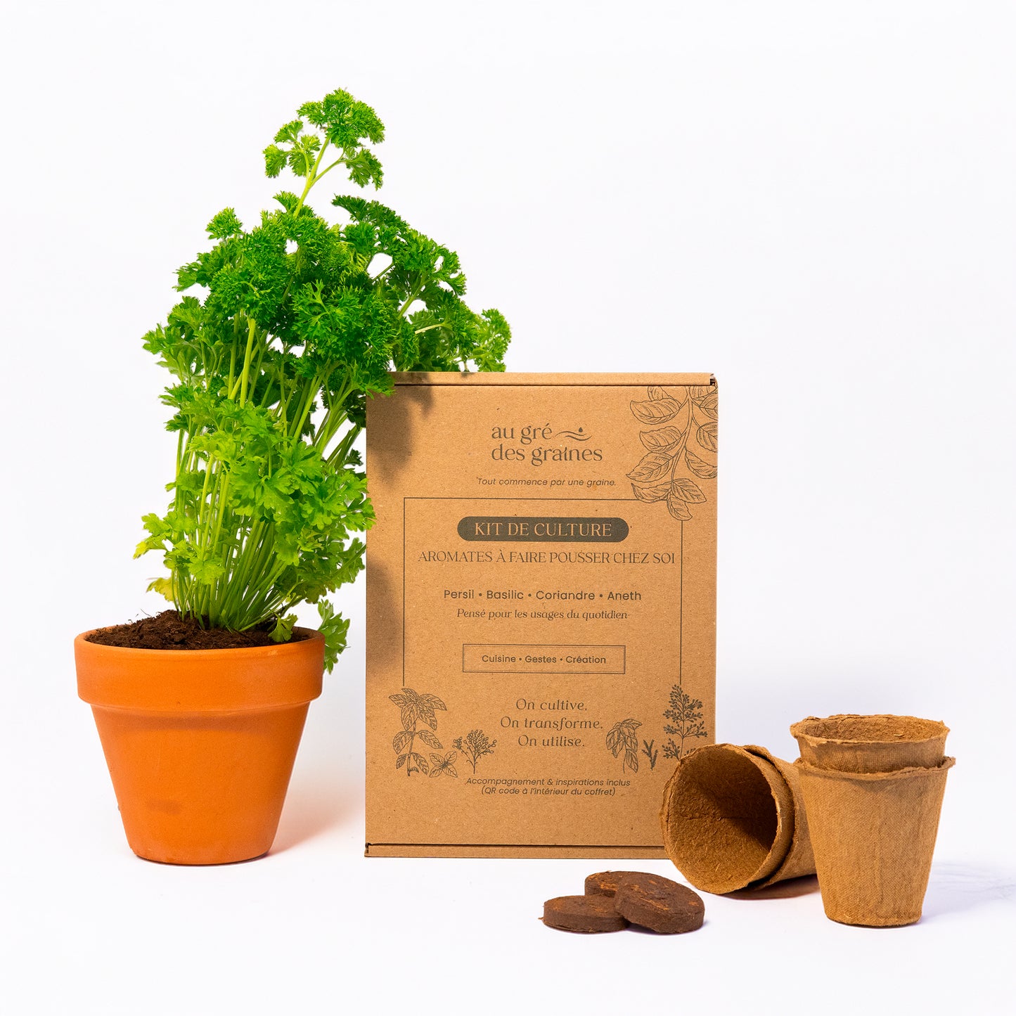 Kit Plantes Aromatiques – Faites pousser vos aromates à la maison